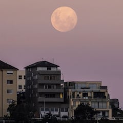 Full Pink Moon 2022: when can you see it in the US and what’s the meaning of its name?