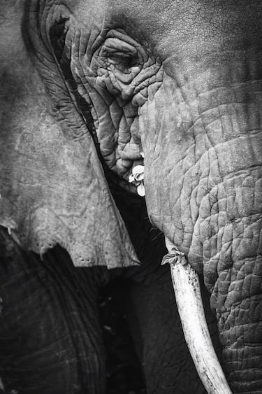 Raúl García Carnero, jugador del Real Valladolid cedido por el Getafe, pintando en casa.