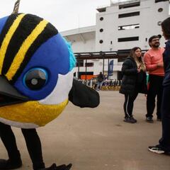 El inesperado regreso de Fiu