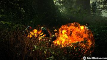 Captura de pantalla - 27794thewitcher2_10_fight_forrest.jpg