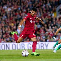 Napoli - Liverpool: TV, horario y cómo ver online la Champions League