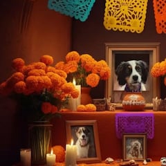 Fecha exacta para poner la ofrenda de las mascotas en Día de los Muertos 2025