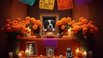 La ofrenda para las mascotas se coloca en el altar de Día de Muertos el 27 de octubre.