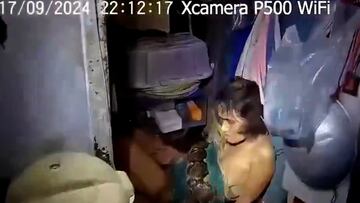 Shocking footage: woman fights for her life after being strangled by 4-meter python