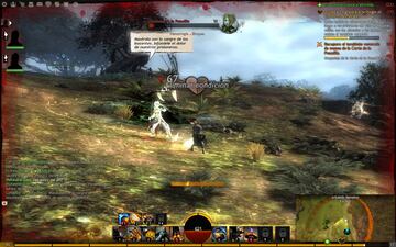 Captura de pantalla - Guild Wars 2 (PC)