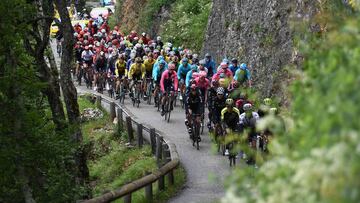 Imagen del pelot&oacute;n en una subida durante el Criterium del Dauphin&eacute; de 2019.