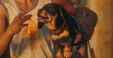Far Cry 6 nos presenta a Chorizo, el perro salchicha que nos acompañará en el juego