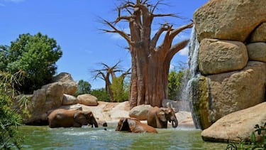 Los mejores parques de atracciones de España