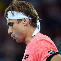 Ferrer se despide en segunda ronda frente al local Thompson