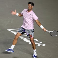 Verdasco y Feliciano López caen en primera ronda en Los Cabos