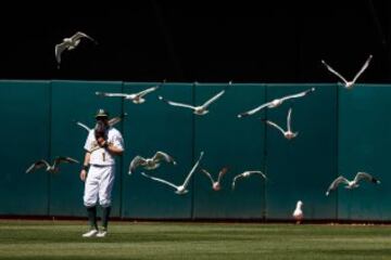 Billy Burns, de los Oakland Athletics, rodeado de gaviotas durante el partido ante los Houston Astros.