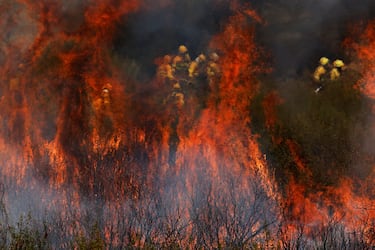 Los bomberos trabajan para extinguir un incendio forestal en las afueras de Abejera de Tábara, Zamora, España.