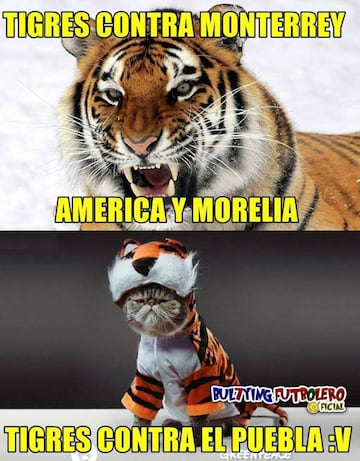 Los memes le abollan la corona a Tigres en el arranque del torneo