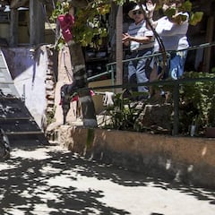 Pedro Ferreira: "Voy a ganar, estoy al ciento por ciento"