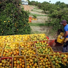What’s the difference between vegan and vegetarian?