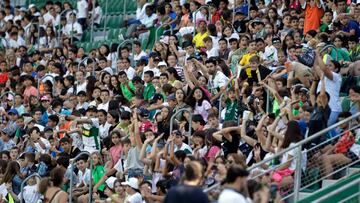 La Federación de Peñas espera cerca de cuatro mil aficionados en la fiesta de la afición del Elche