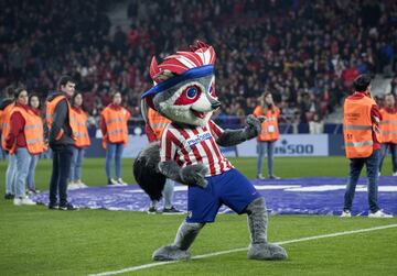 El mampache Indi, macota del Atlético de Madrid.