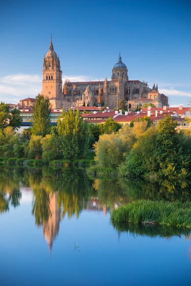 El templo salmantino mide 110 metros en su punto más alto, aunque, en los últimos tiempos, se ha puesto en duda dicha cifra. 