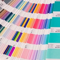 Científicos descubren un color nunca antes visto por un ser humano: “Impresionante e increíblemente intenso”