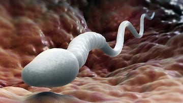 Ya se puede analizar el esperma a través del smartphone