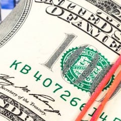 Programa de Protección de Pago (PPP): ¿Cómo consultar por estado?