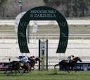 Hipódromo de La Zarzuela dará carreras el 20 de septiembre