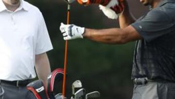 Tiger vuelve mientras su imperio se derrumba