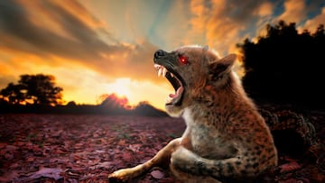 Keel says the truth behind the chupacabra legend may be far less supernatural, pointing to sick coyotes often mistaken for monsters.