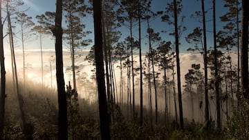 El paraíso natural que podrían visitar los chilenos: “Uno de los más grandes tesoros...”
