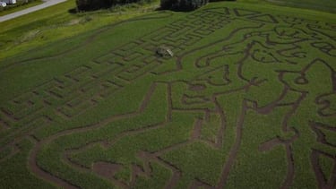 Anthem presenta su disparatada campaña de marketing