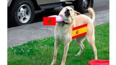 Los memes del empate entre España y Marruecos