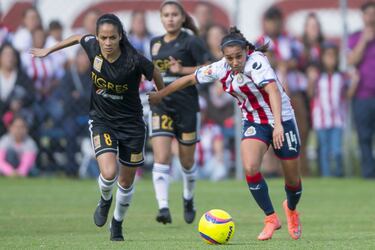 Final Regia Femenil, con altas expectativas
