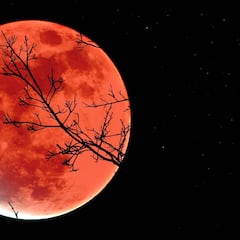 Roberto Brasero señala cómo será el eclipse lunar y qué pasará a las 20:15 del domingo en España: “Cuando llega al final...”