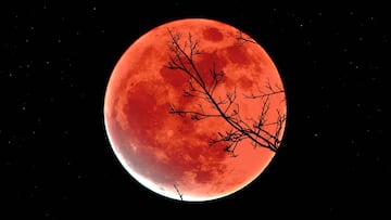 Luna Llena de marzo 2025: Fecha y hora exacta para ver la Luna de Gusano de Sangre desde México