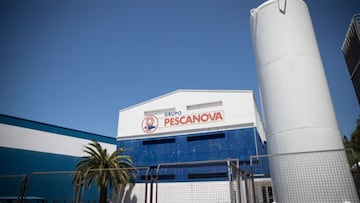 Planta central de Nueva Pescanova en Chapela (Redondela, Pontevedra).