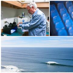 Las 10 playas con más niveles de bacterias fecales de Estados Unidos