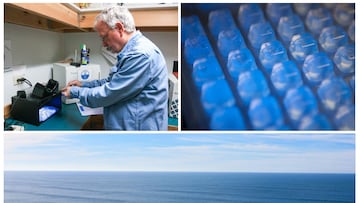 Top: Reading water quality test results in the lab. Bottom: Surfers enjoy a large, clean swell in Newport, Oregon