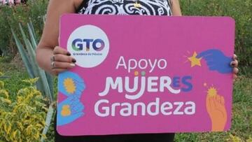 Tarjeta rosa en Guanajuato 2024: próximo pago, fechas y cómo se recarga