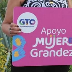Tarjeta rosa en Guanajuato 2024: próximo pago, fechas y cómo se recarga