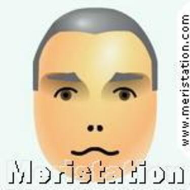 Abril será el mes del MeriTrivia Nintendo y la Wiidea MeriStation