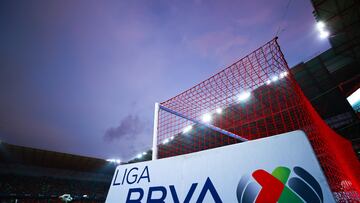 A detail of a Liga MX sign