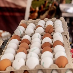 Una microbióloga zanja el debate y dice dónde duran más los huevos