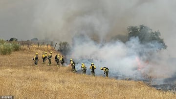 Rado un importante incendio de pastos en Tres Cantos