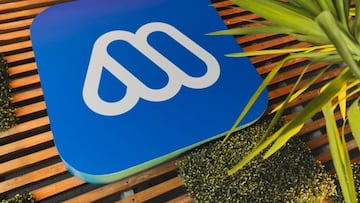 Mega ficha a dos figuras de TVN