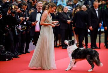 Messi, el perro de la película Anatomía de una Caída, película ganadora de la Palma de Oro de la anterior edición, interactúa con Laura Martin Contini, entrenadora de perros para el cine.