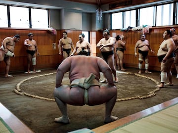 Luchadores de sumo entrenando en Tokio.