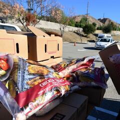 Food stamps: how to apply and who is eligible