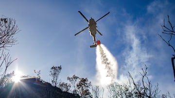 Incendio en cerros forestales de Bogotá