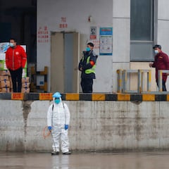 La viróloga Angela Rasmussen es contundente sobre el origen de la COVID: “No hay discusión”