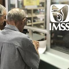 Se terminaron las dudas: anuncian cómo se deberá tramitar el certificado de supervivencia del IMSS